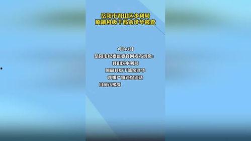 岳阳市最新爆料消息公布,揭秘重大事件背后真相