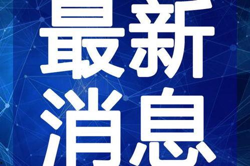 封丘小赵爆料视频最新,最新事件背后真相曝光